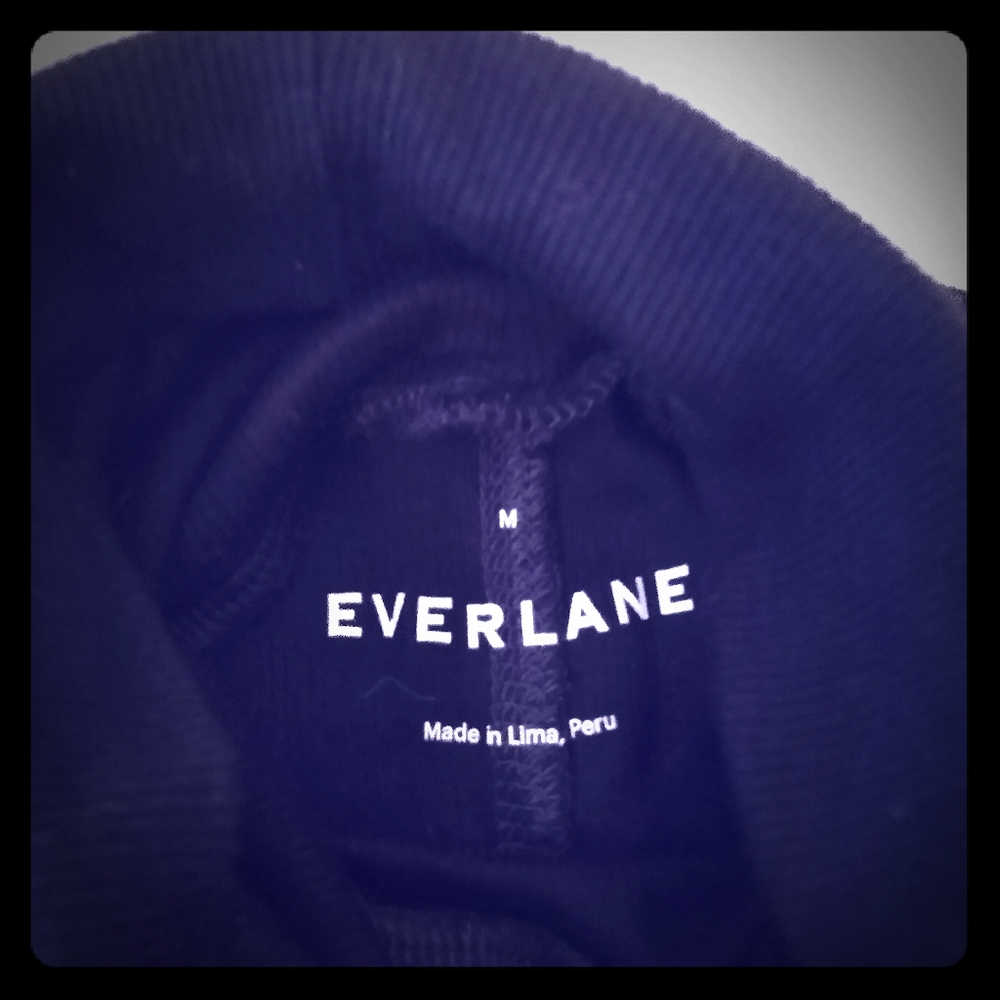 Everlane Turtleneck Pima Cotton